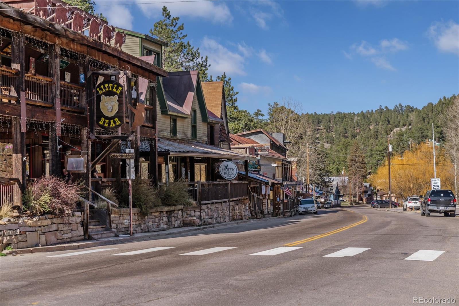 MLS Image #43 for 5699  northwood drive,evergreen, Colorado