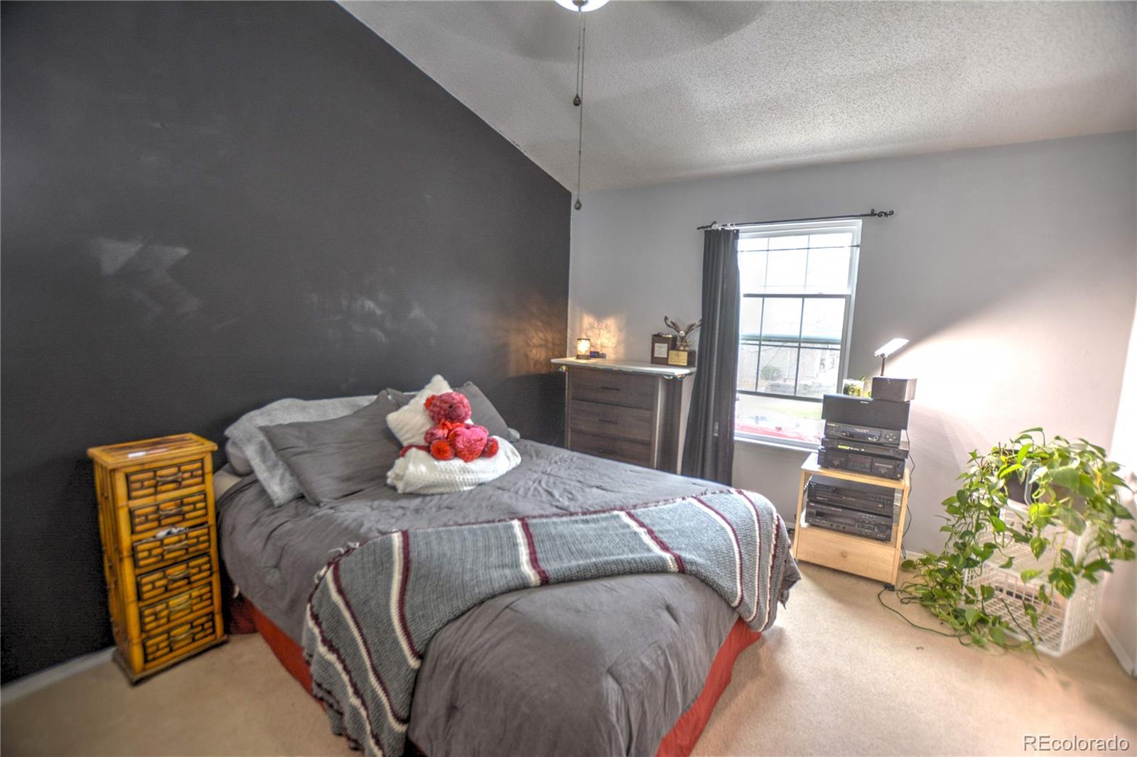 MLS Image #21 for 3643  queen anne way,colorado springs, Colorado