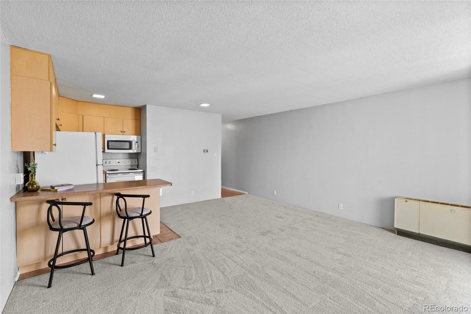 MLS Image #8 for 2500 s york street,denver, Colorado