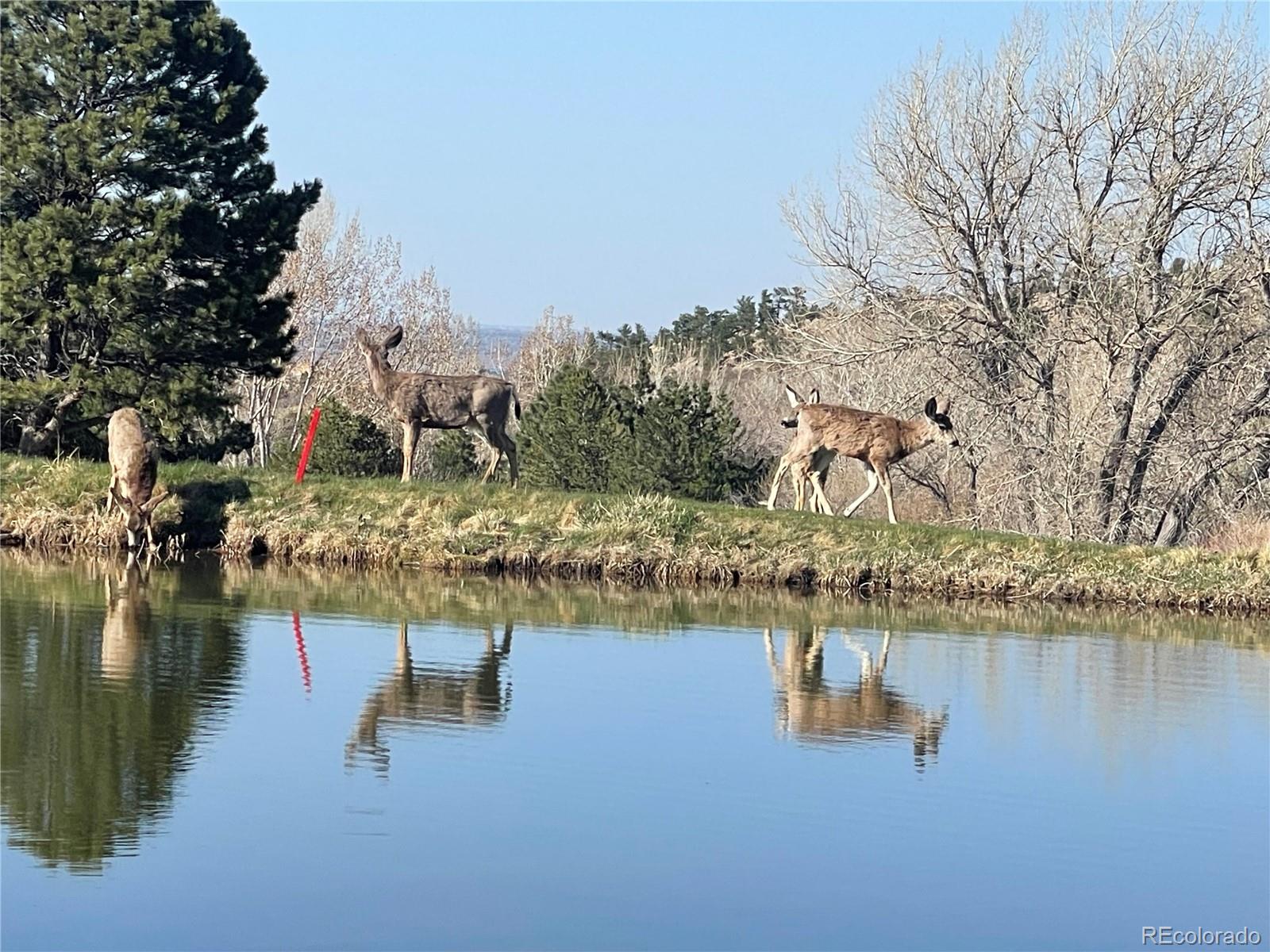 MLS Image #44 for 6405  eagle feather trail,littleton, Colorado
