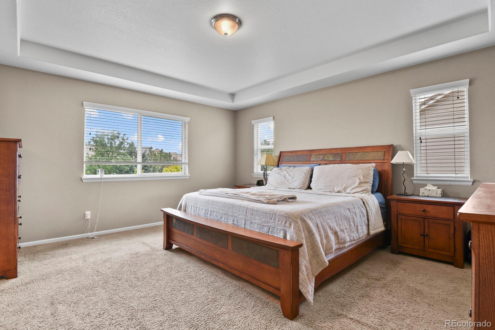 MLS Image #17 for 8182  grady circle,castle rock, Colorado