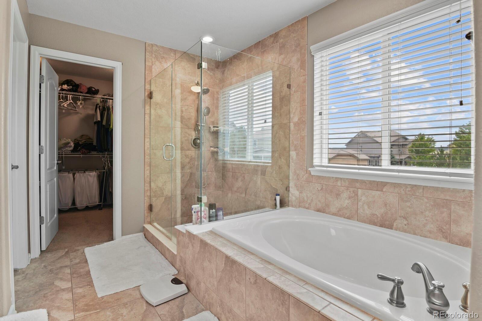 MLS Image #20 for 8182  grady circle,castle rock, Colorado