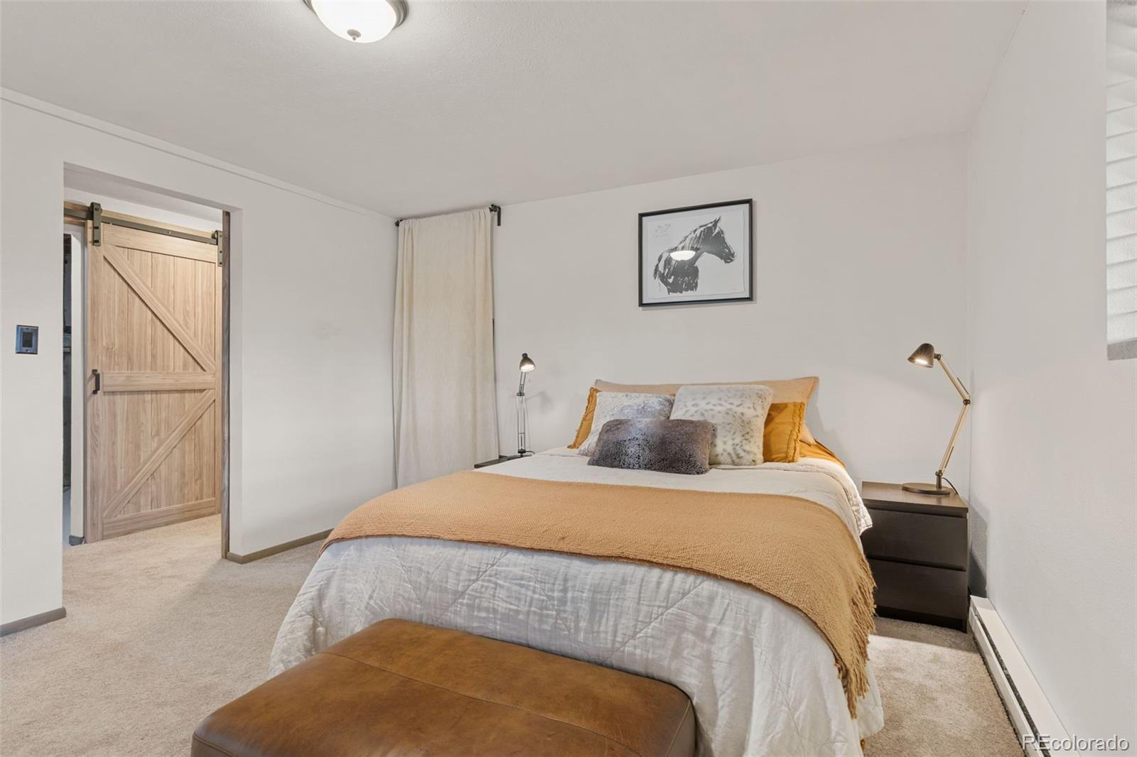 MLS Image #16 for 31214  evans view lane,pine, Colorado
