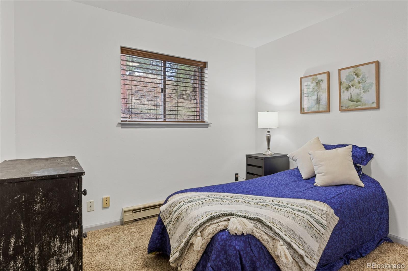 MLS Image #17 for 31214  evans view lane,pine, Colorado