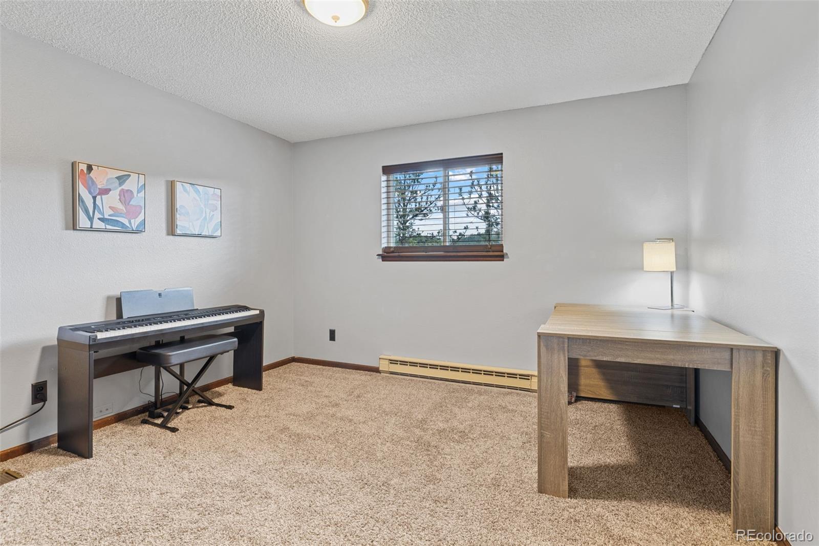 MLS Image #18 for 31214  evans view lane,pine, Colorado