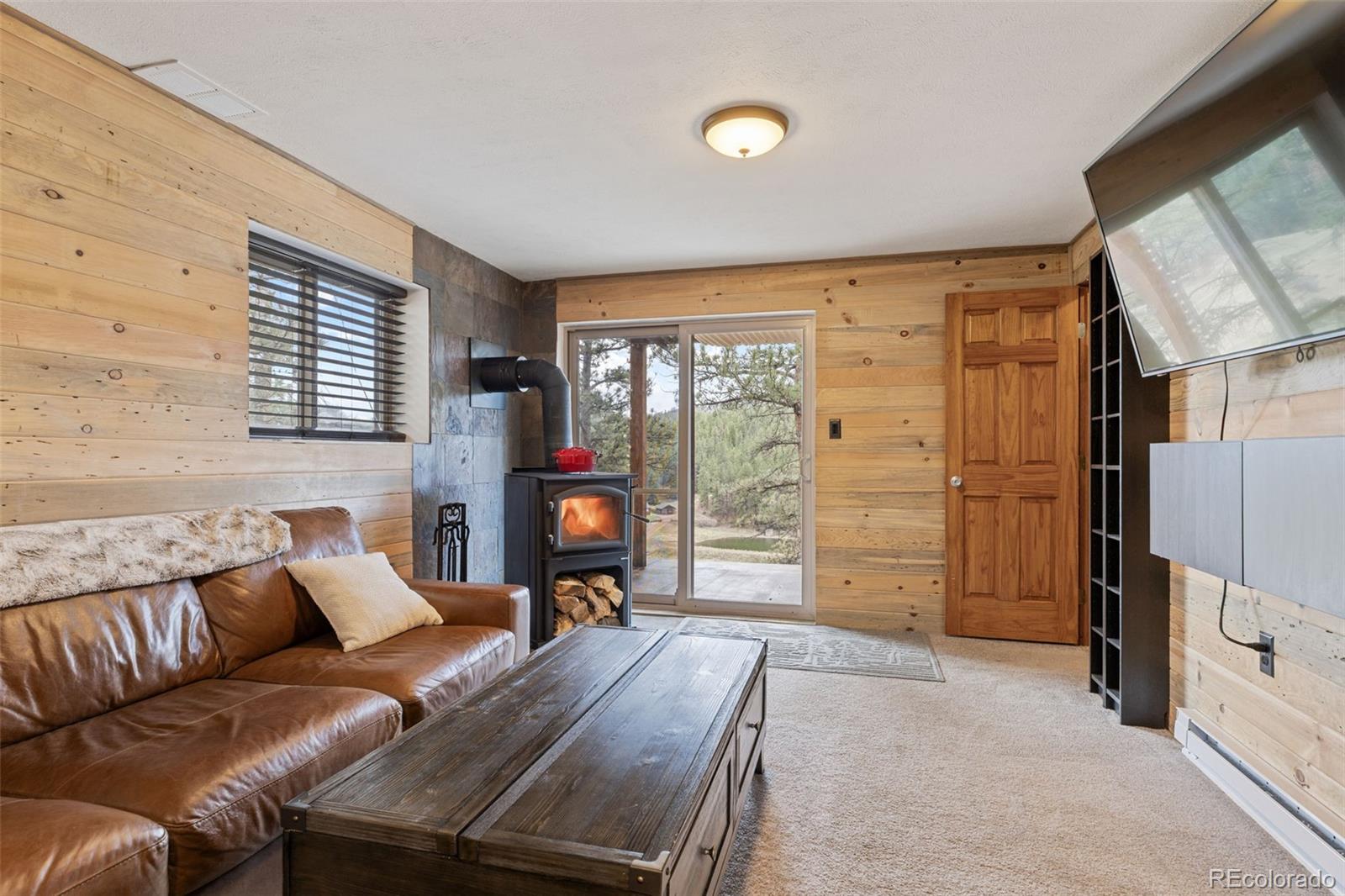 MLS Image #20 for 31214  evans view lane,pine, Colorado