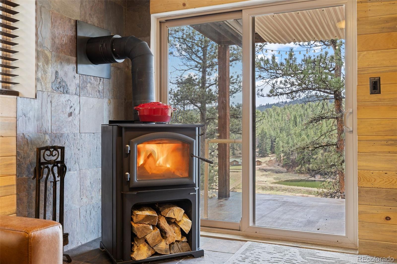 MLS Image #21 for 31214  evans view lane,pine, Colorado