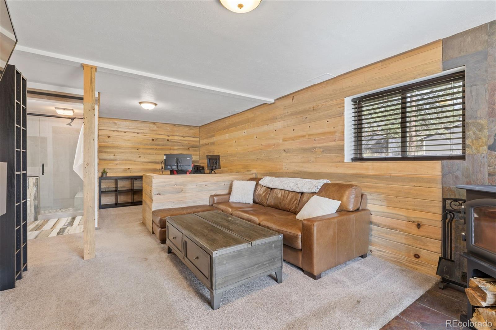 MLS Image #22 for 31214  evans view lane,pine, Colorado