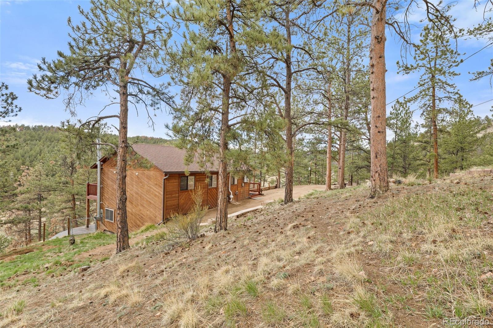 MLS Image #28 for 31214  evans view lane,pine, Colorado