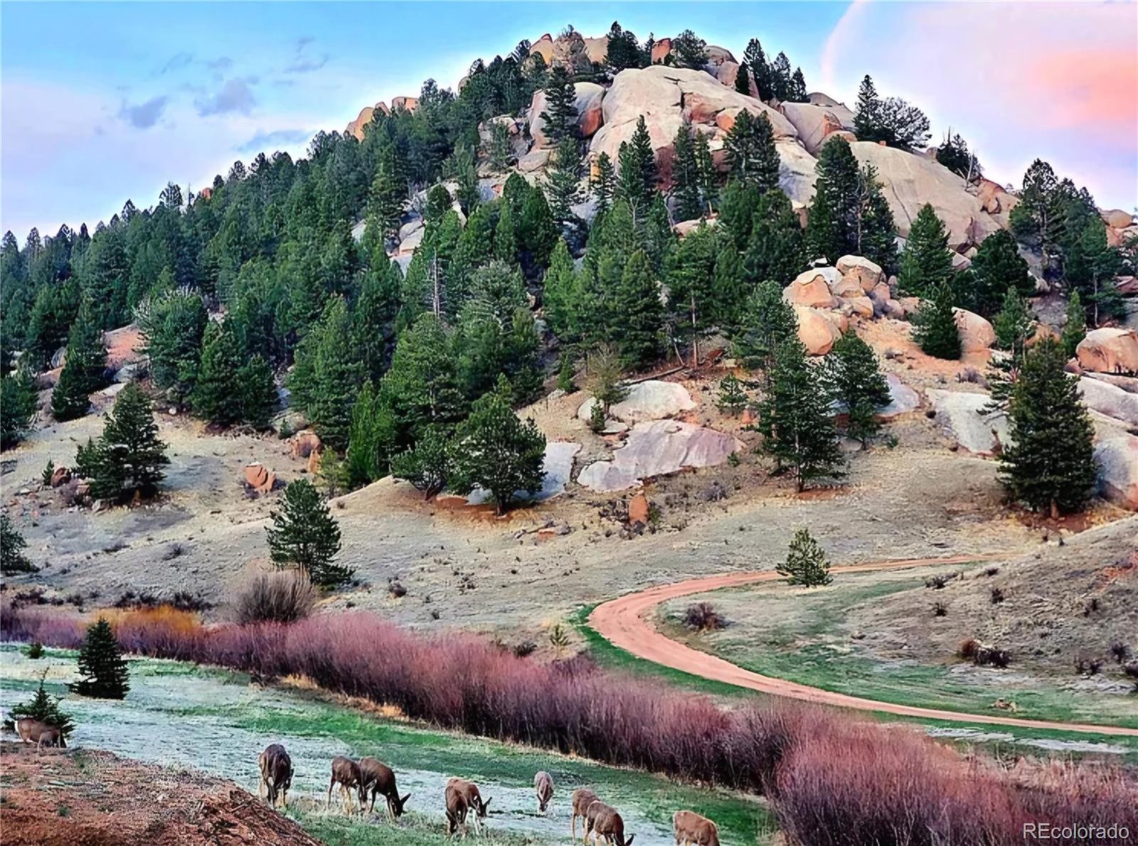 MLS Image #3 for 45  saltlick circle,florissant, Colorado