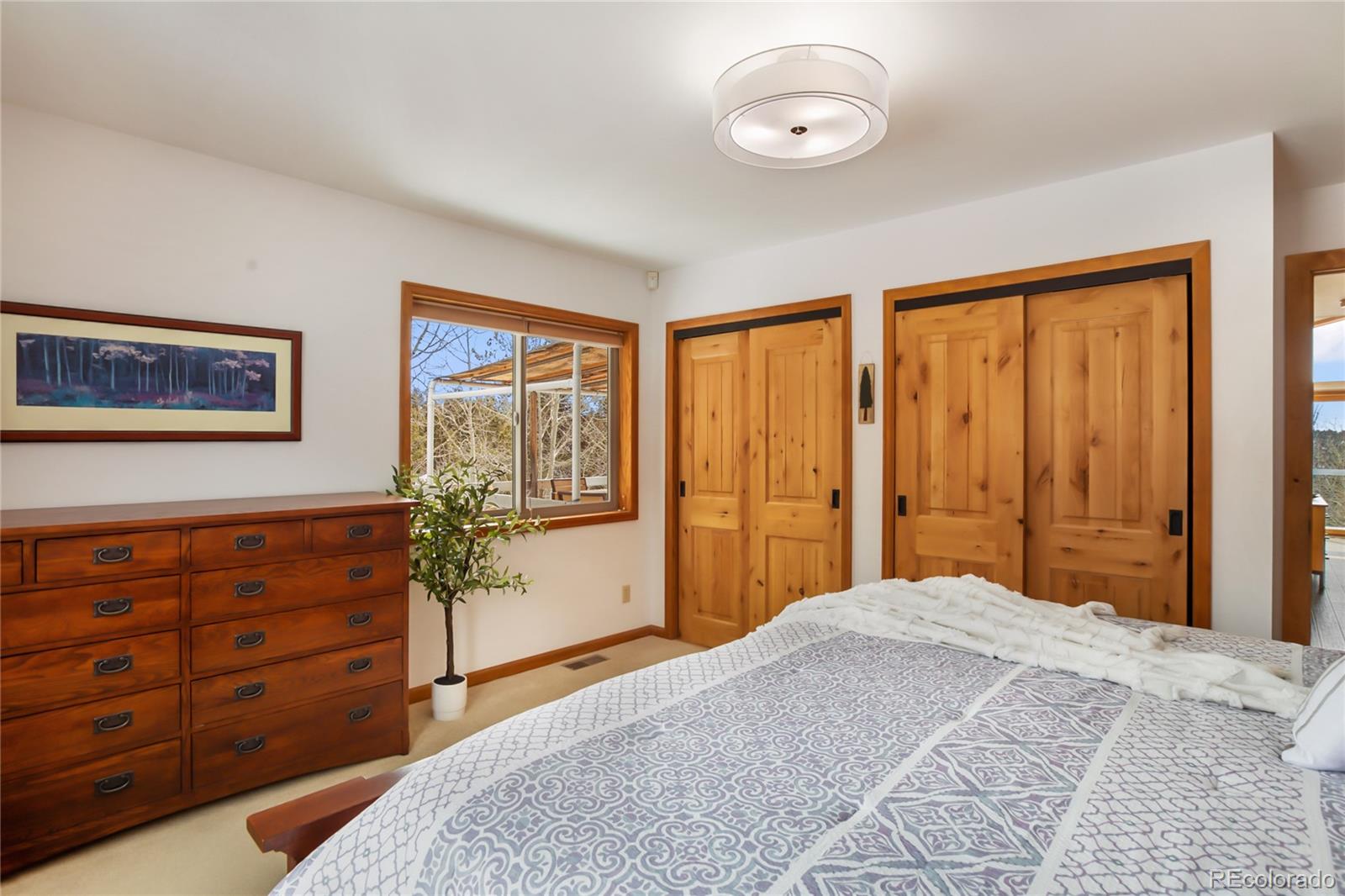 MLS Image #20 for 4261  county road 51 ,divide, Colorado