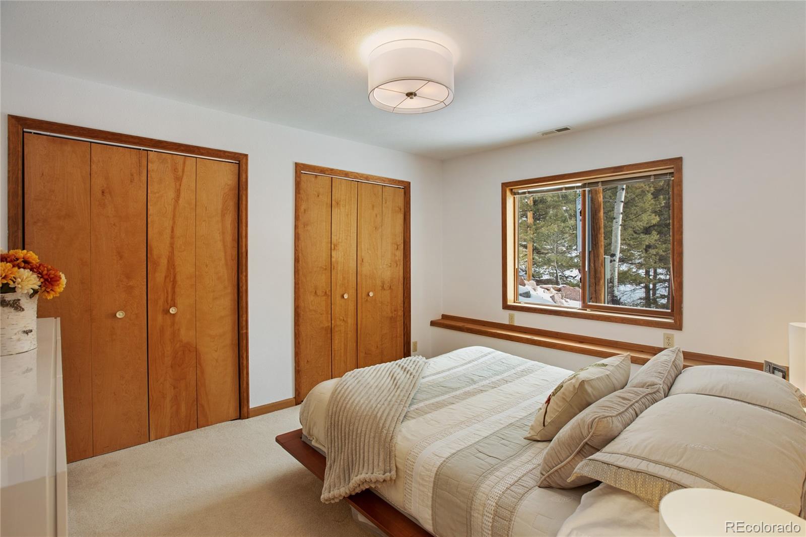 MLS Image #26 for 4261  county road 51 ,divide, Colorado