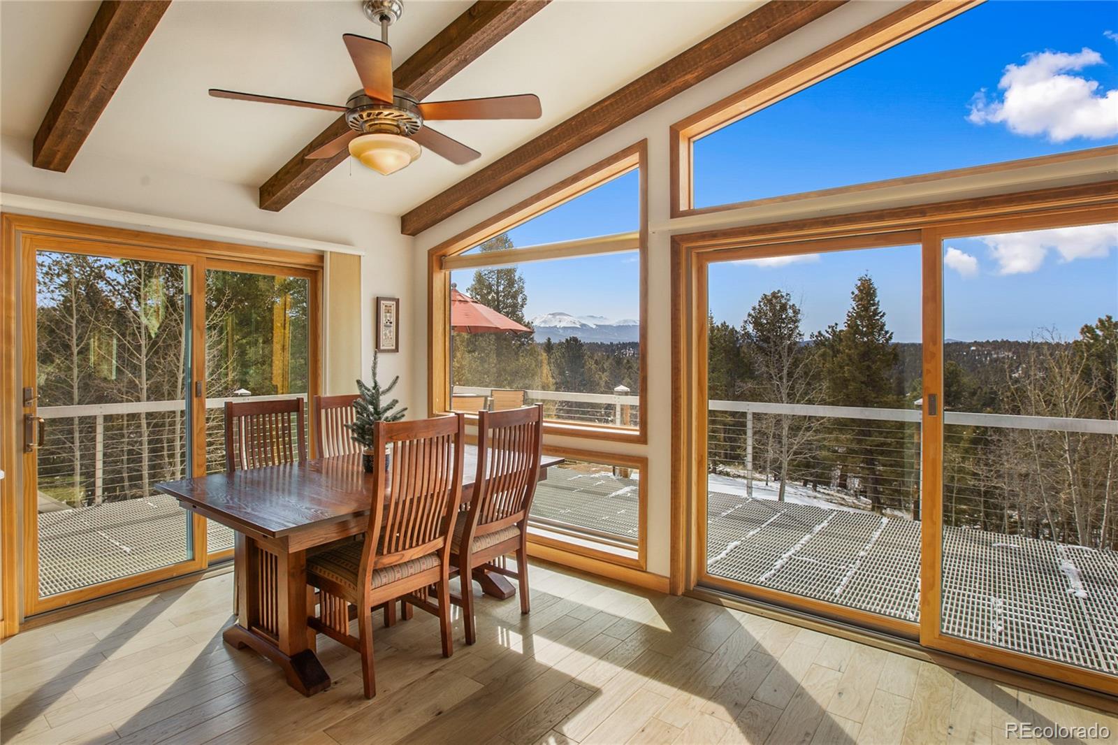MLS Image #7 for 4261  county road 51 ,divide, Colorado