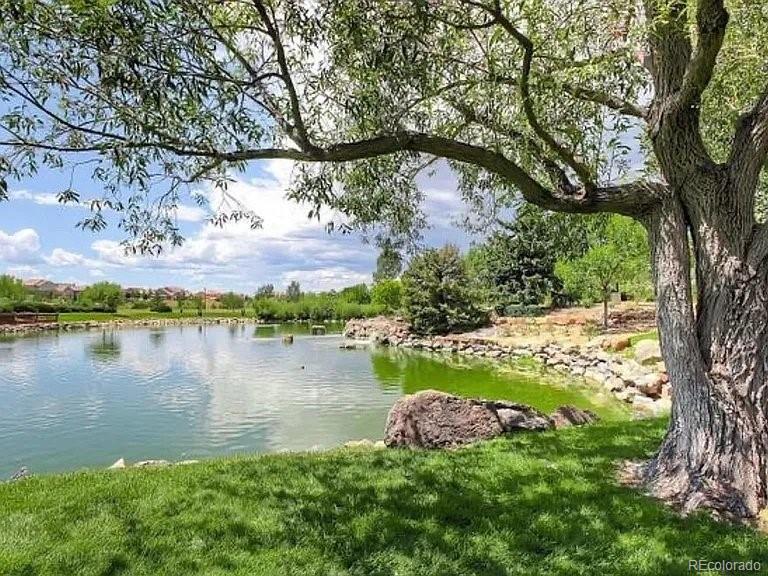 MLS Image #31 for 15498 e dorado place,centennial, Colorado
