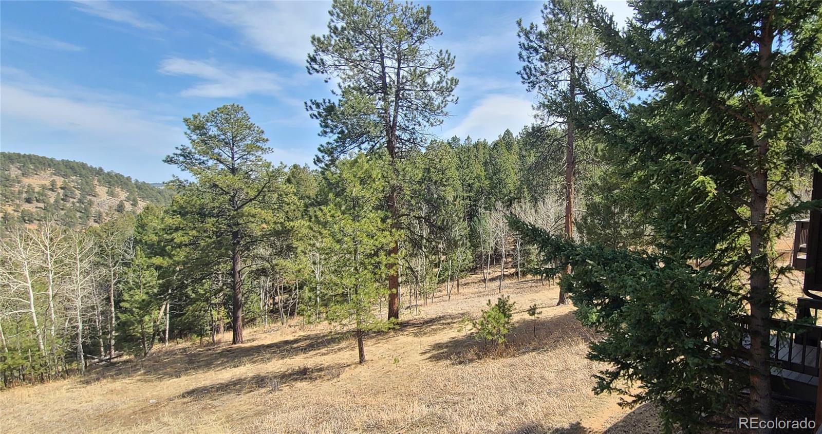 MLS Image #5 for 11  old corral road,bailey, Colorado