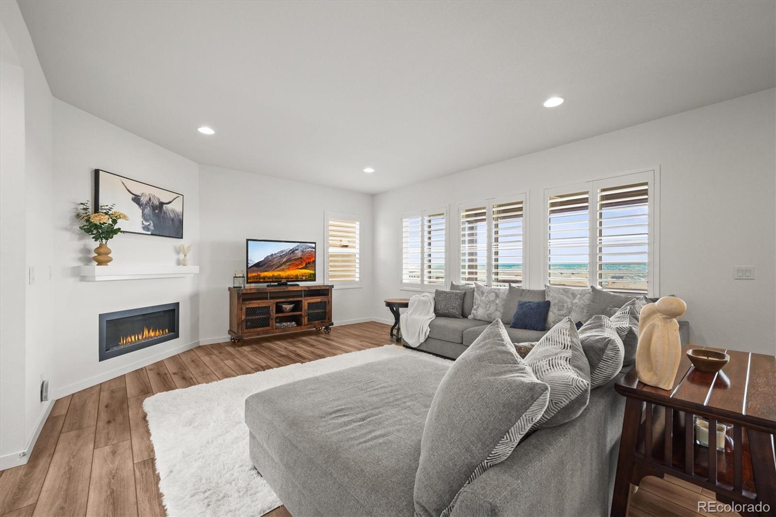 MLS Image #10 for 14102  night owl lane,parker, Colorado
