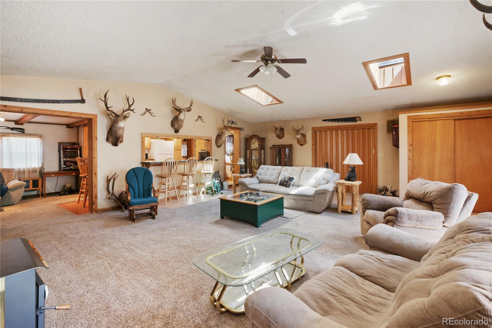 MLS Image #13 for 166  gentian road,woodland park, Colorado