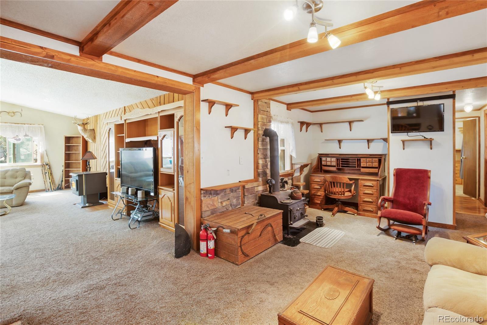 MLS Image #16 for 166  gentian road,woodland park, Colorado