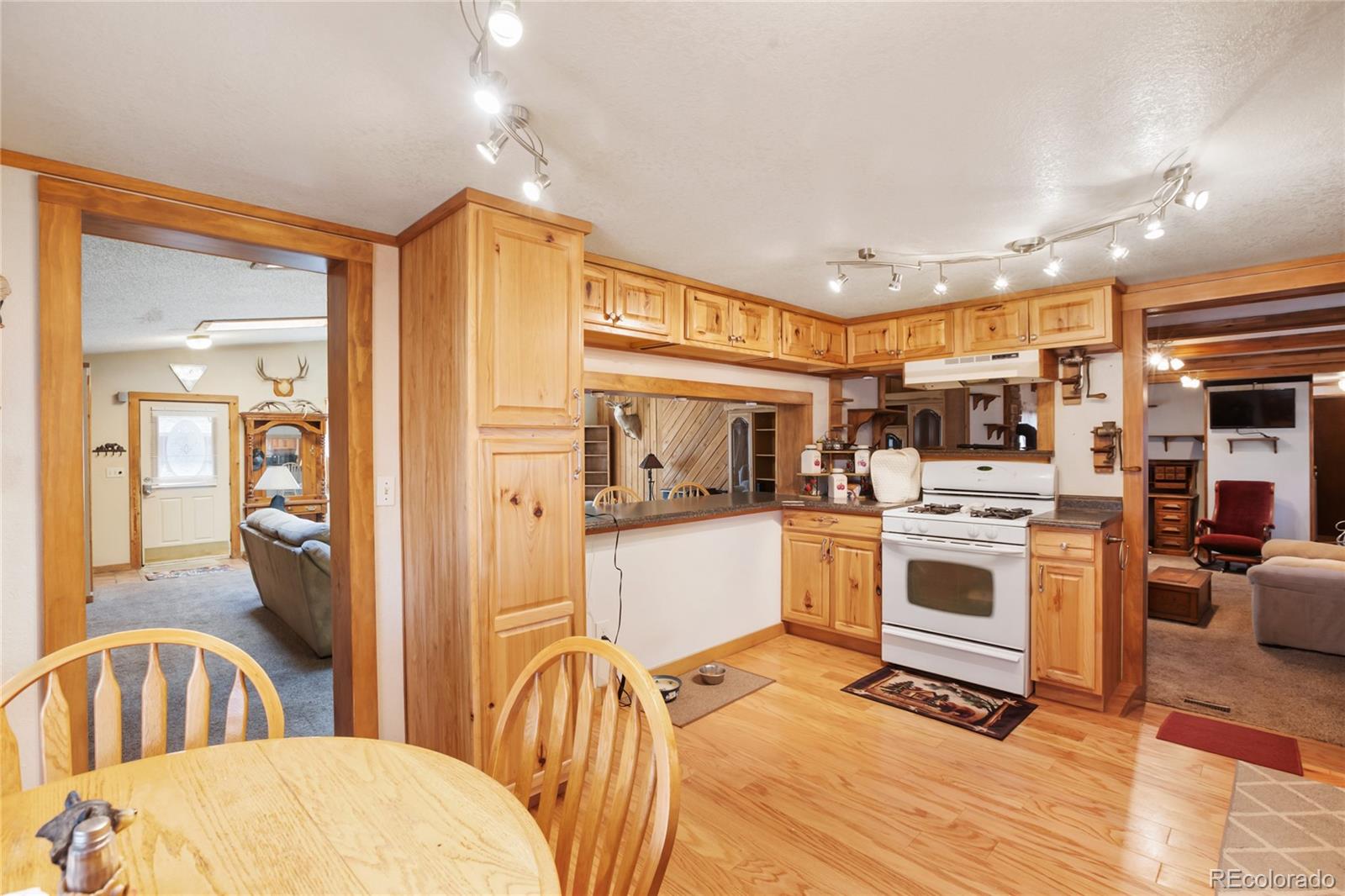 MLS Image #18 for 166  gentian road,woodland park, Colorado