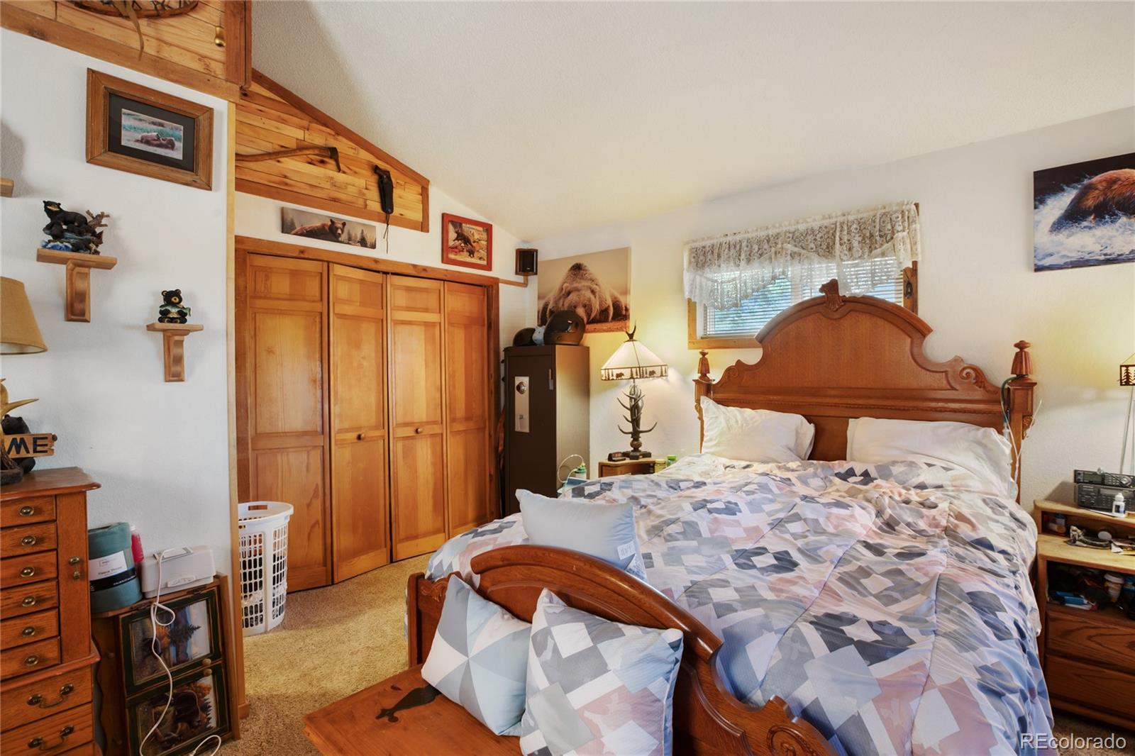 MLS Image #23 for 166  gentian road,woodland park, Colorado