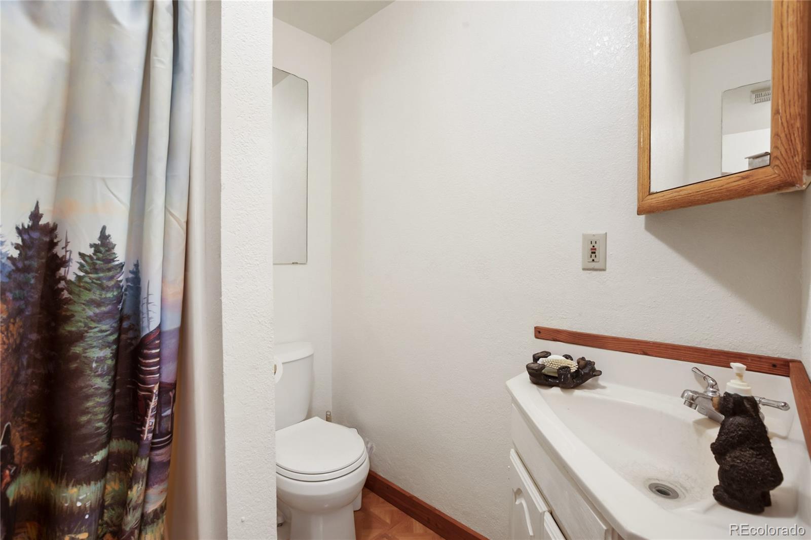 MLS Image #26 for 166  gentian road,woodland park, Colorado