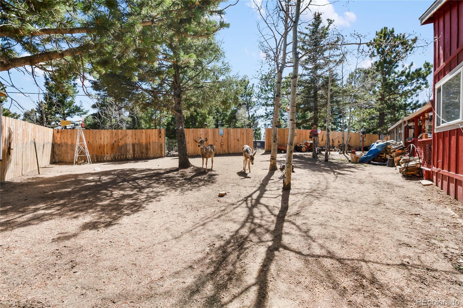 MLS Image #28 for 166  gentian road,woodland park, Colorado