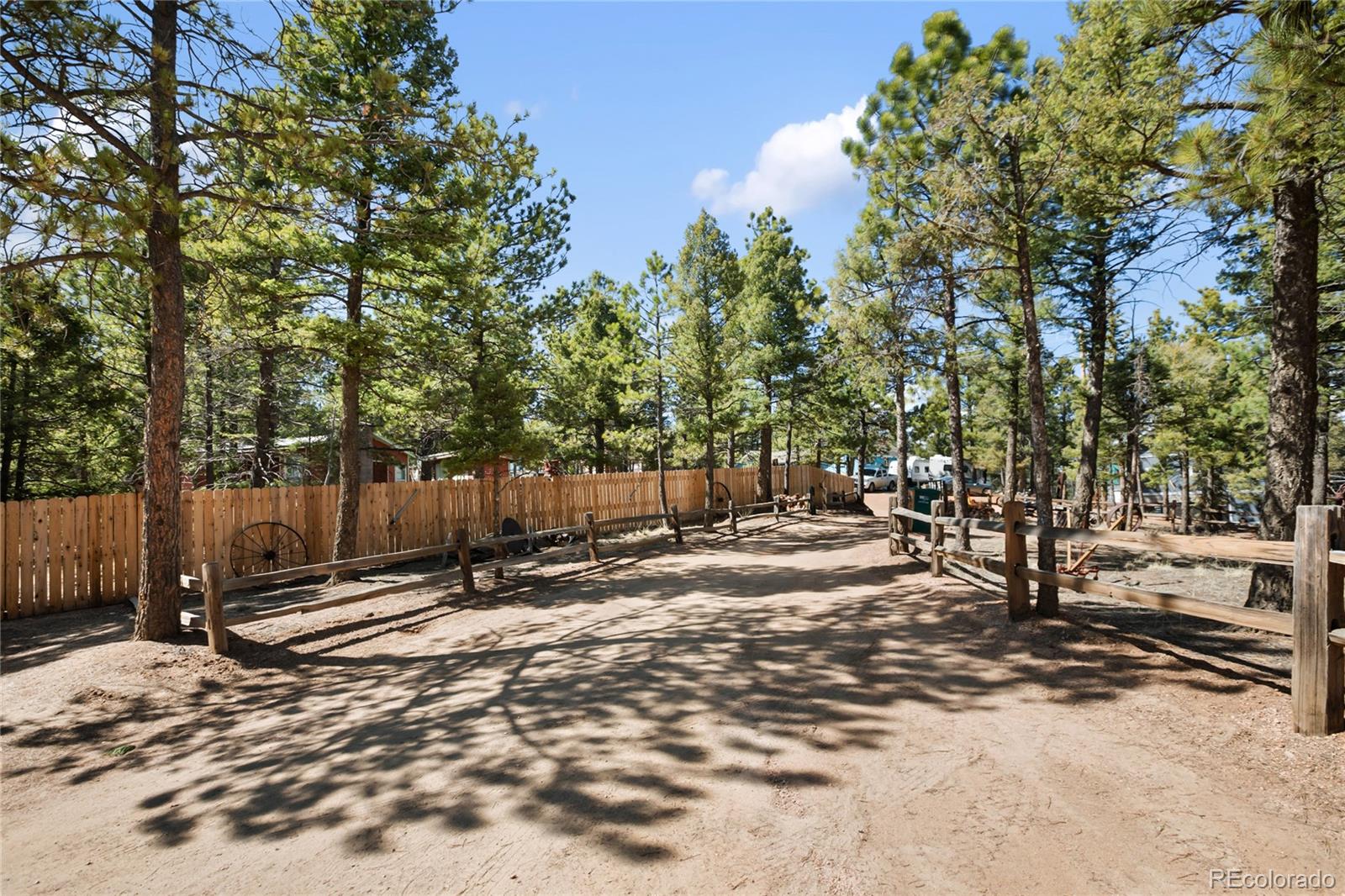 MLS Image #9 for 166  gentian road,woodland park, Colorado
