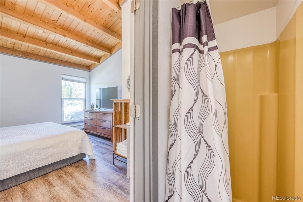 MLS Image #11 for 8300  ryan gulch road,silverthorne, Colorado