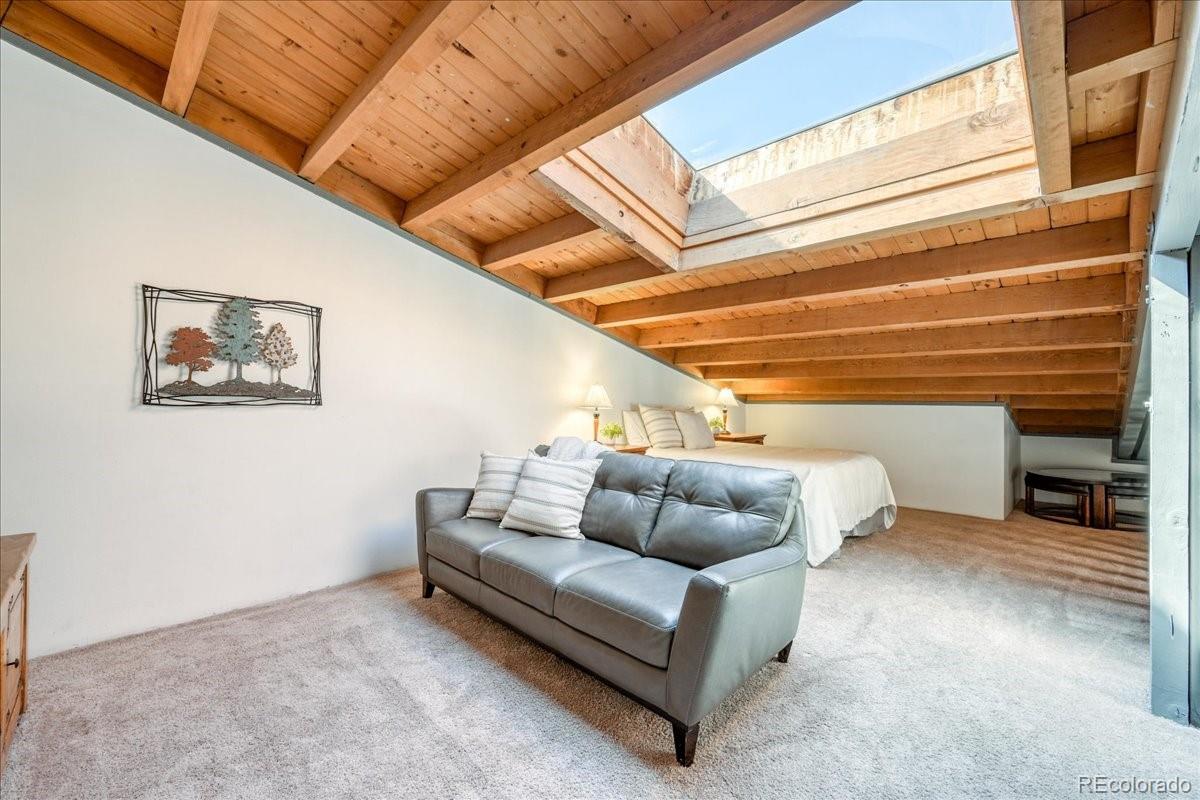 MLS Image #19 for 8300  ryan gulch road,silverthorne, Colorado