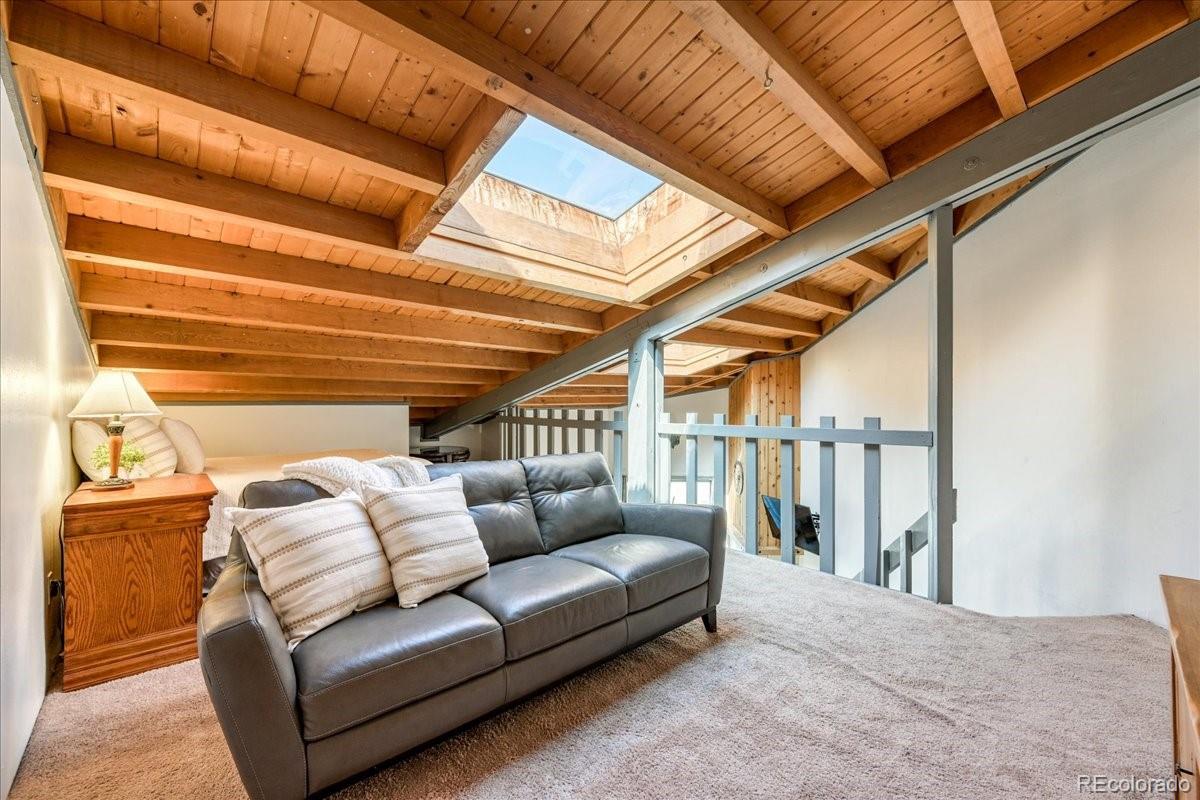 MLS Image #20 for 8300  ryan gulch road,silverthorne, Colorado