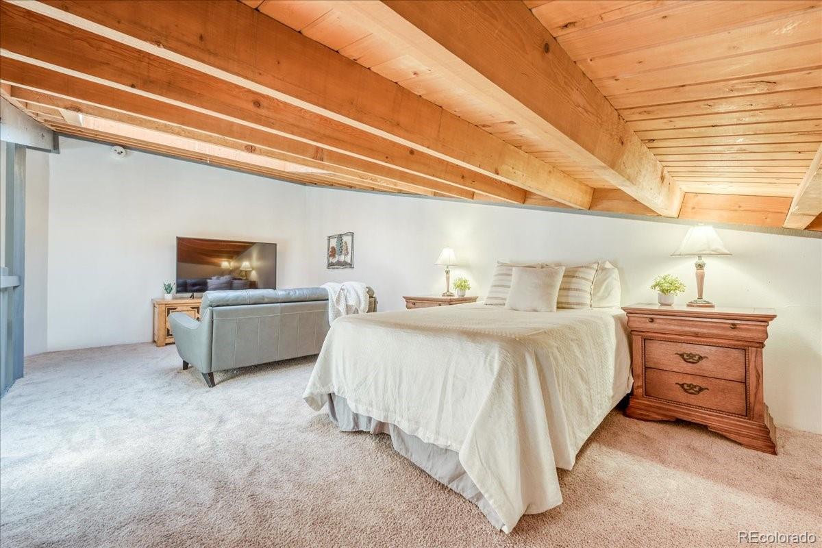 MLS Image #22 for 8300  ryan gulch road,silverthorne, Colorado