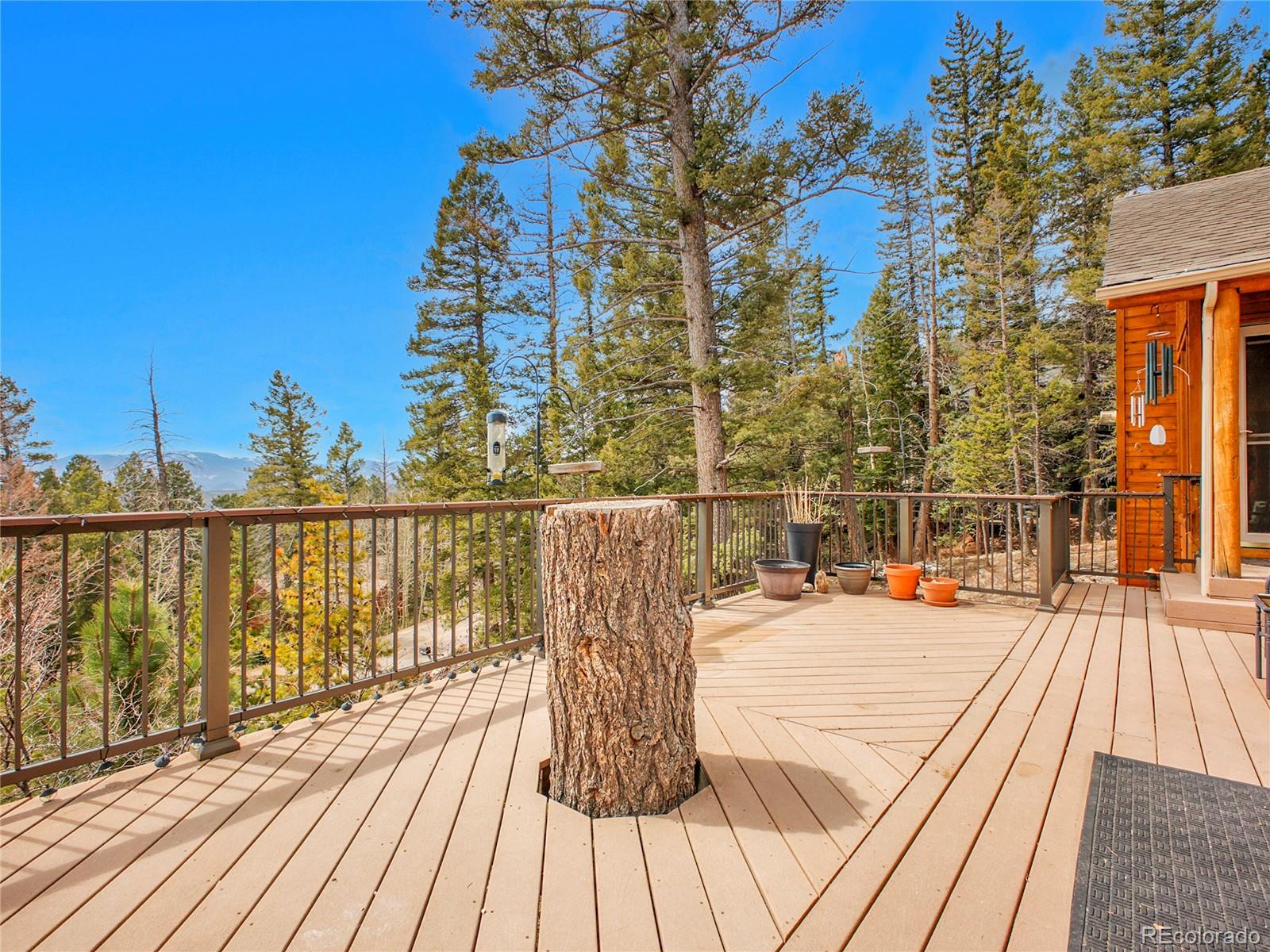 MLS Image #29 for 30813  kings valley drive,conifer, Colorado