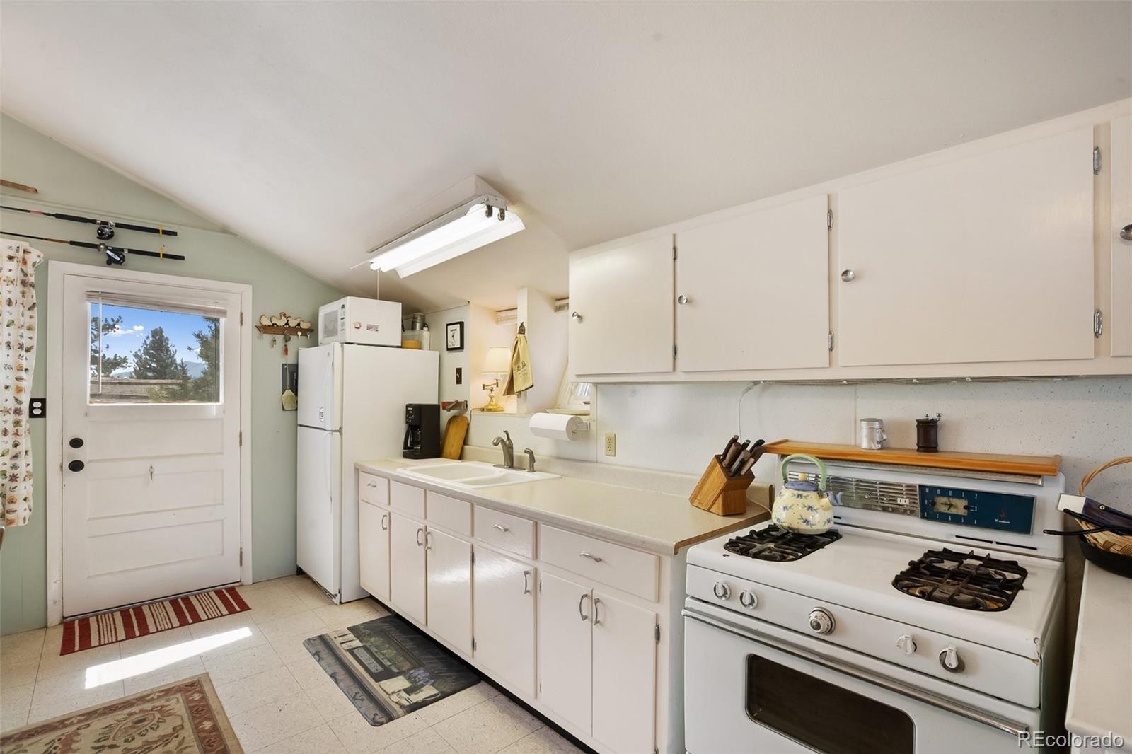 MLS Image #11 for 256  whale drive,lake george, Colorado