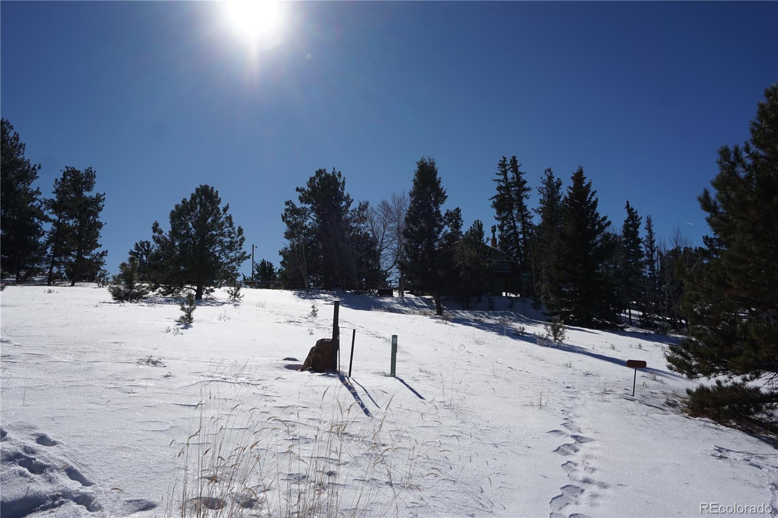 MLS Image #26 for 256  whale drive,lake george, Colorado