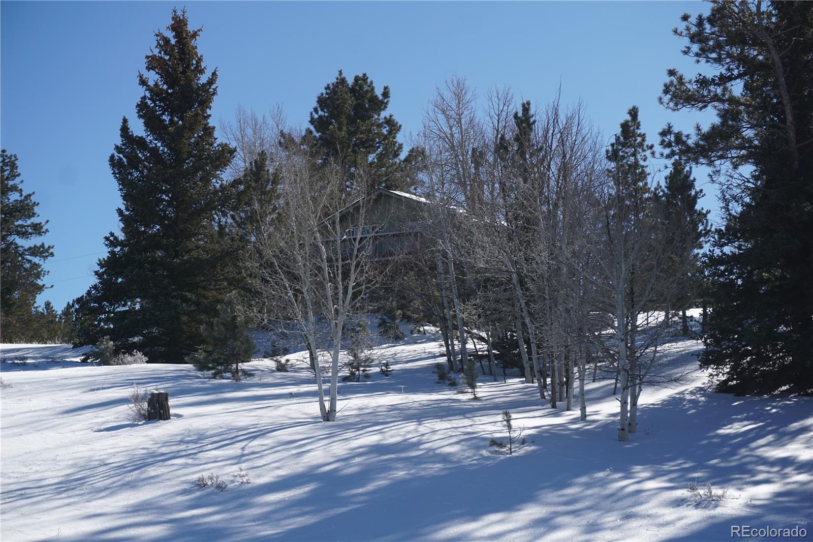 MLS Image #28 for 256  whale drive,lake george, Colorado