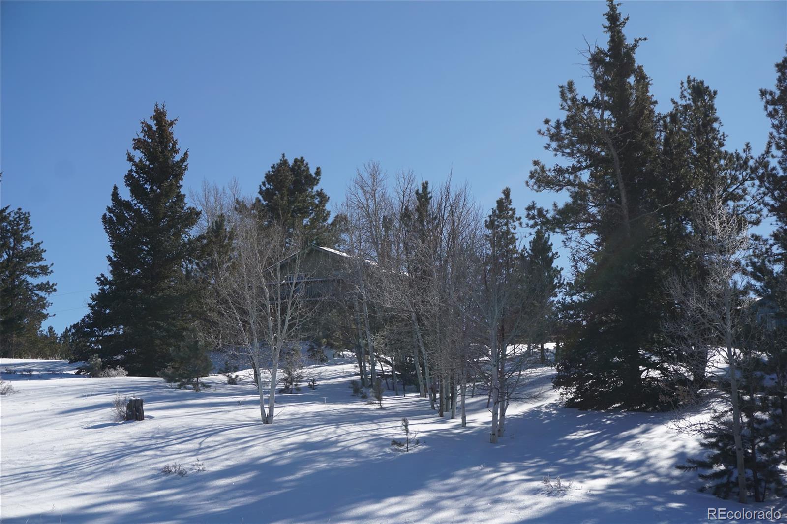 MLS Image #29 for 256  whale drive,lake george, Colorado