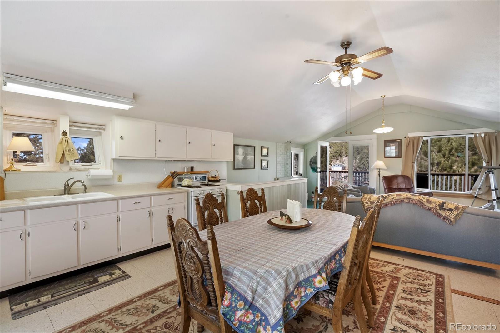 MLS Image #9 for 256  whale drive,lake george, Colorado