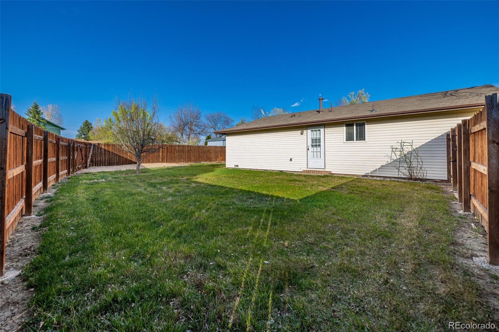 MLS Image #21 for 1014  ponderosa circle,longmont, Colorado