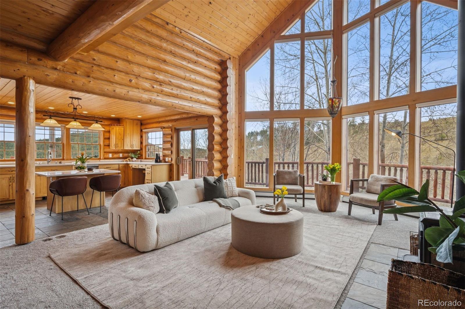 MLS Image #2 for 15690  cochise trail,pine, Colorado
