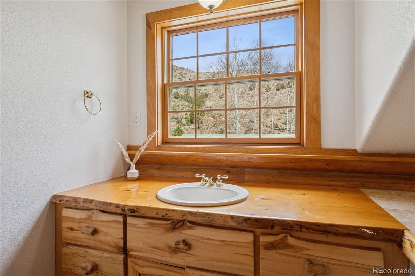 MLS Image #20 for 15690  cochise trail,pine, Colorado