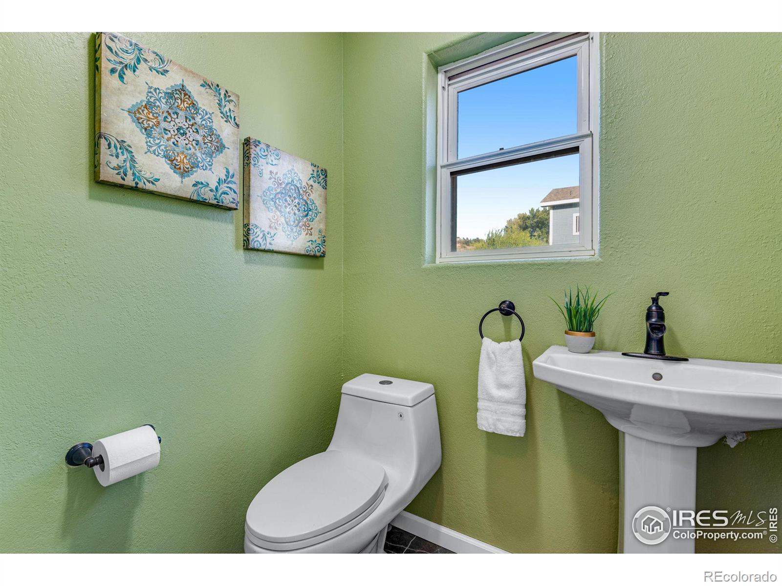 MLS Image #20 for 217  park street,lyons, Colorado