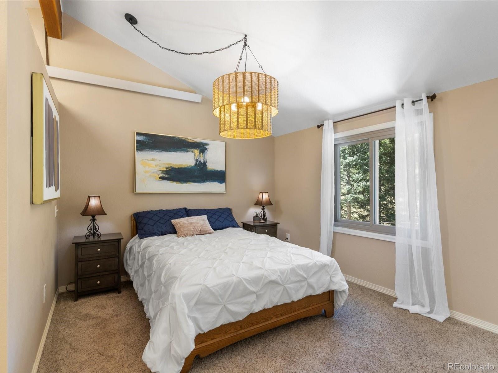 MLS Image #15 for 28268  shadow mountain drive,conifer, Colorado