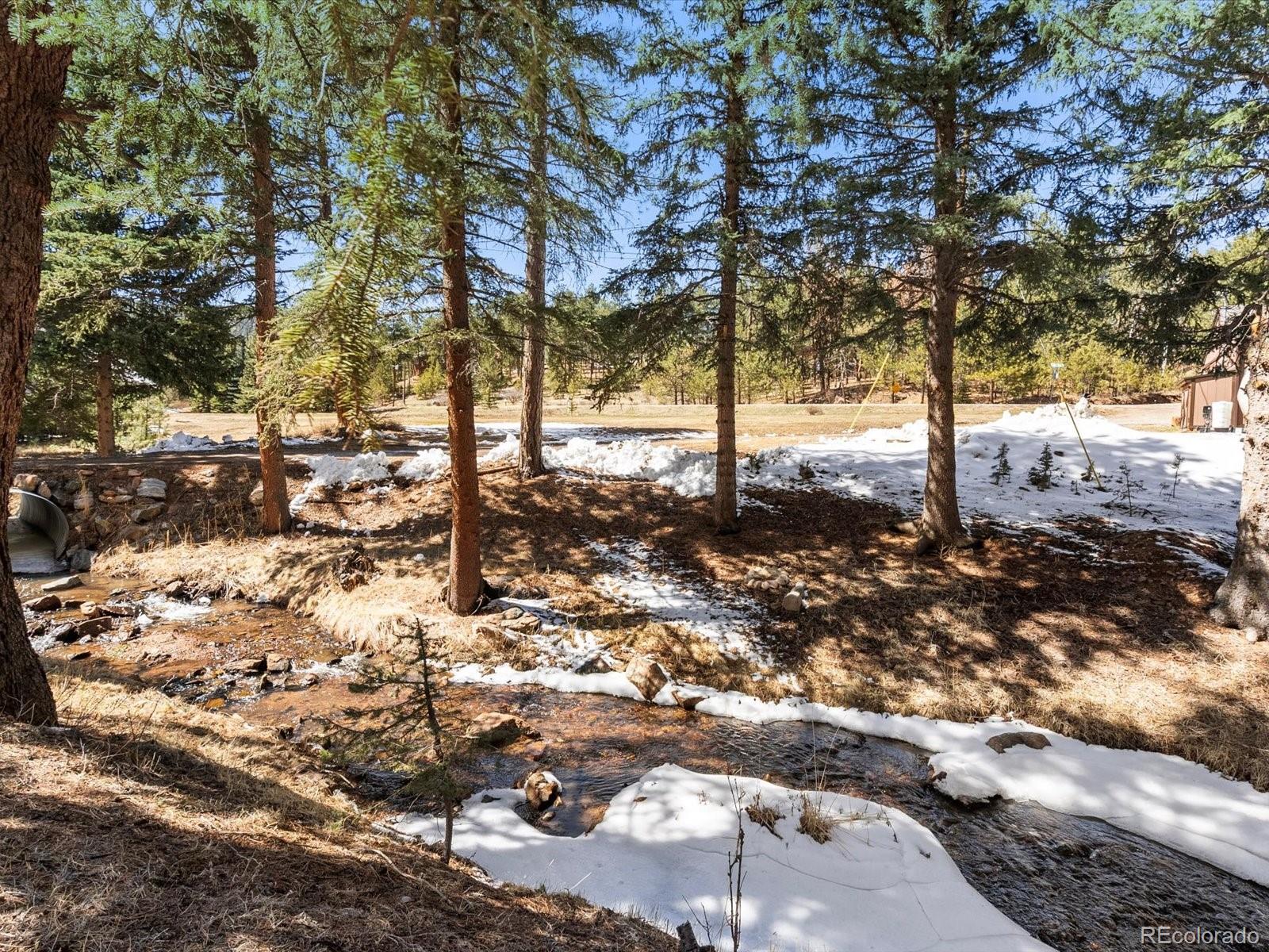MLS Image #17 for 28268  shadow mountain drive,conifer, Colorado