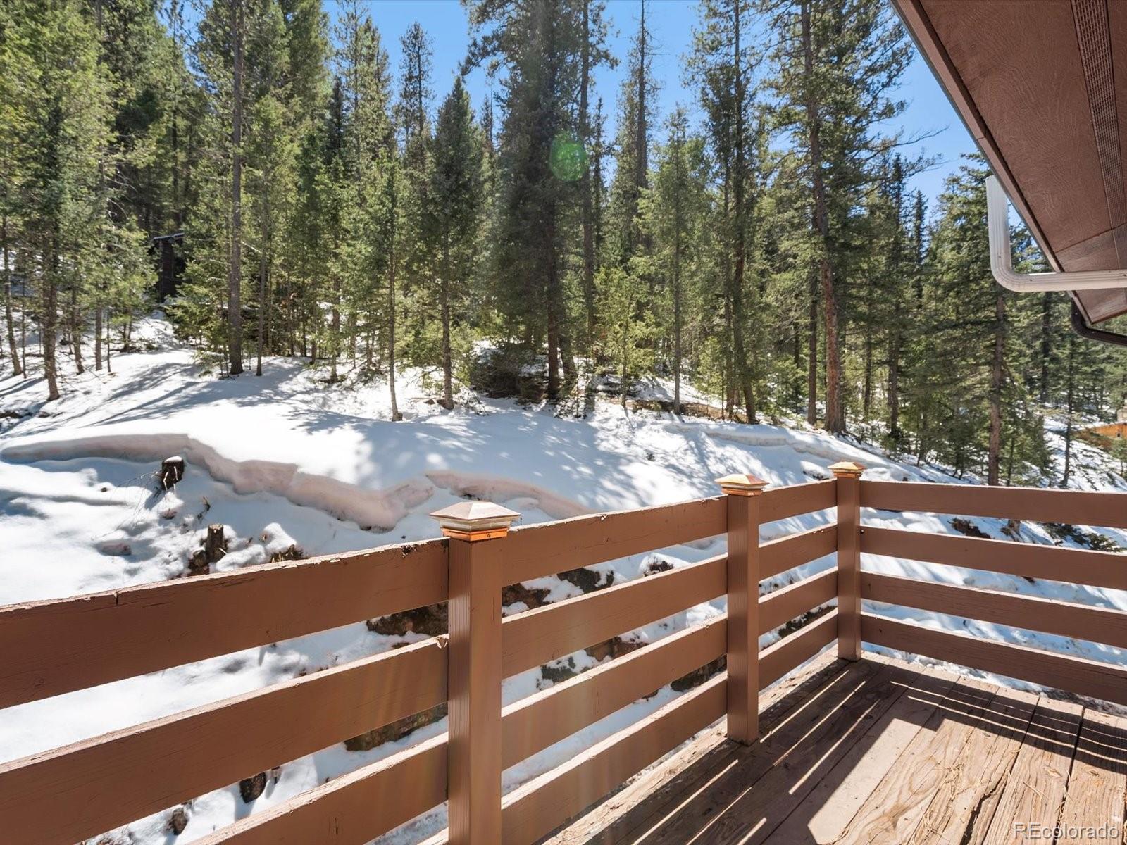 MLS Image #21 for 28268  shadow mountain drive,conifer, Colorado