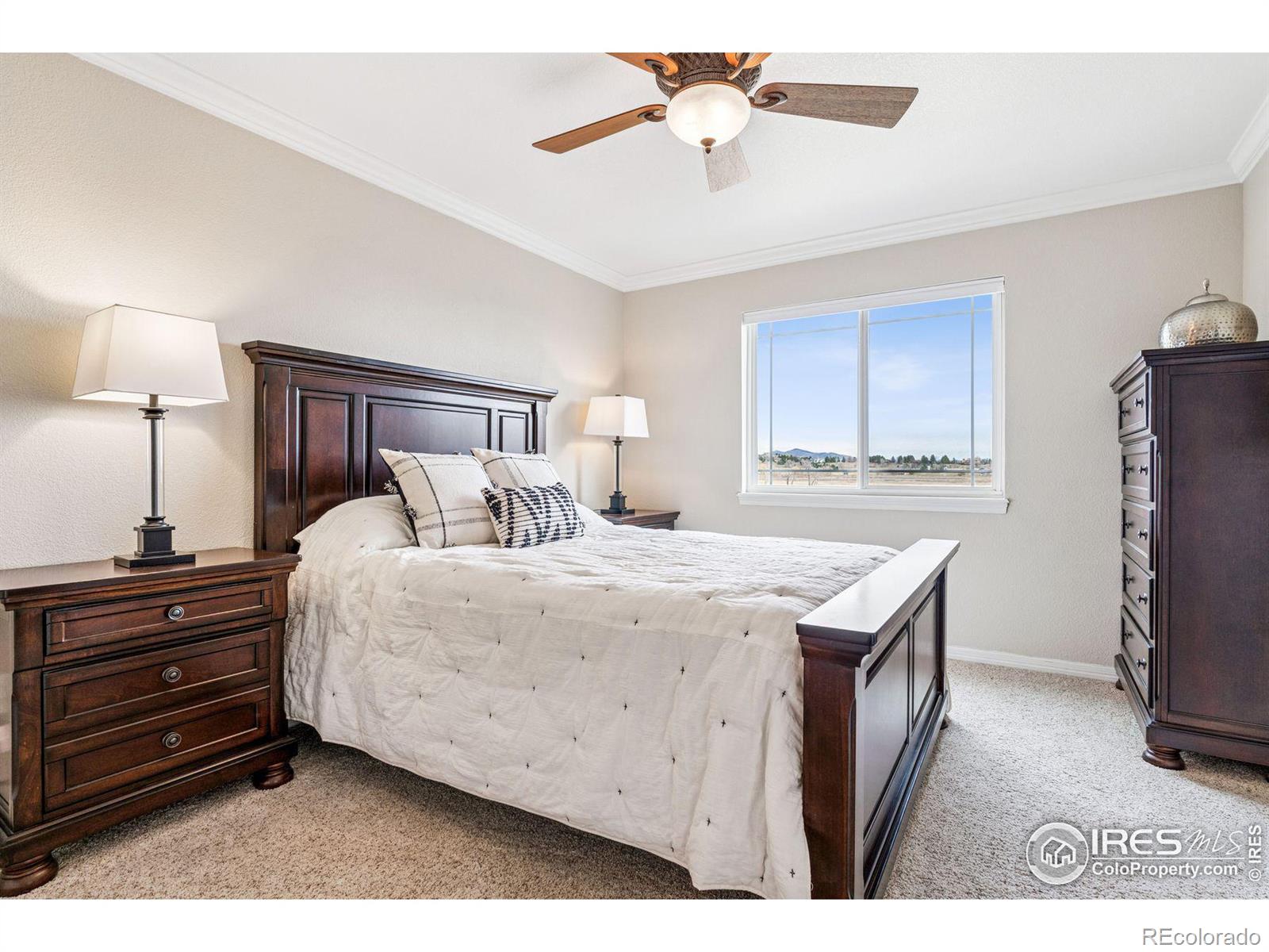 MLS Image #29 for 5714  bluff lane,loveland, Colorado