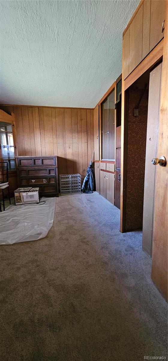 MLS Image #8 for 205 w 4th avenue,kit carson, Colorado