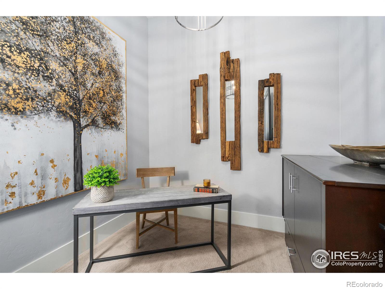 MLS Image #18 for 302 n meldrum street,fort collins, Colorado