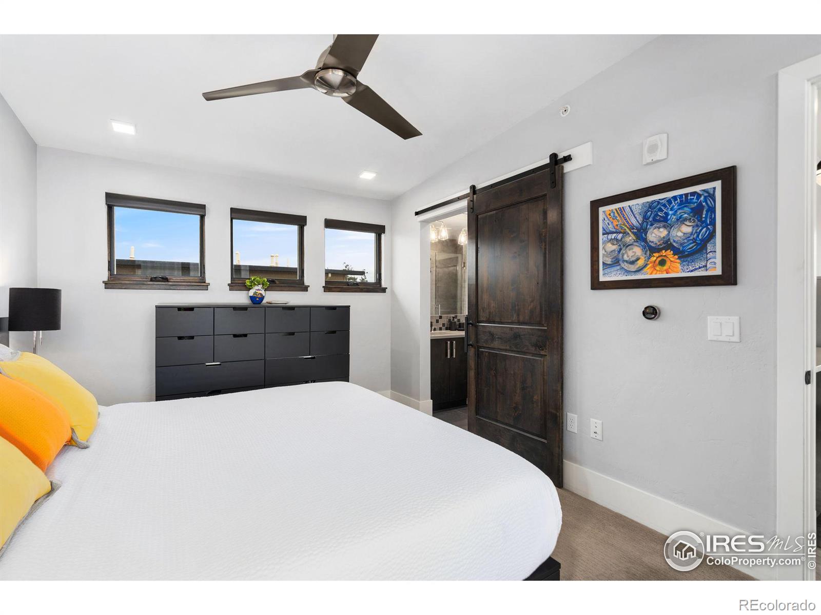 MLS Image #26 for 302 n meldrum street,fort collins, Colorado
