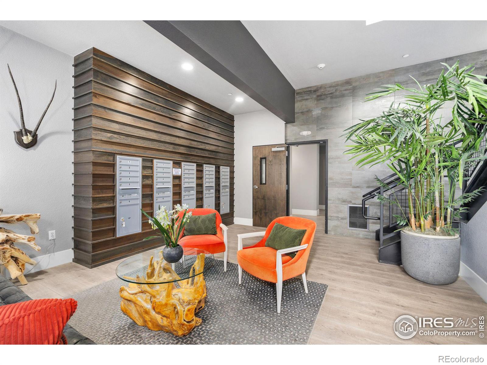 MLS Image #3 for 302 n meldrum street,fort collins, Colorado