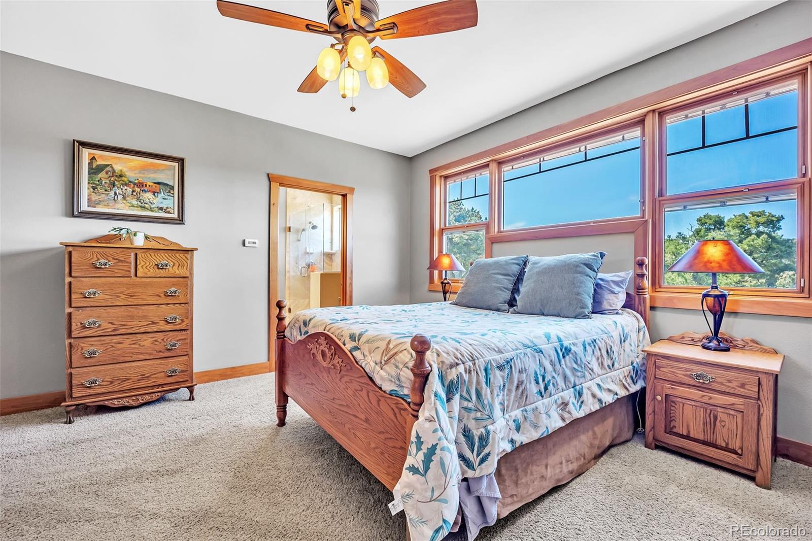 MLS Image #19 for 3237  romnes road,fort garland, Colorado